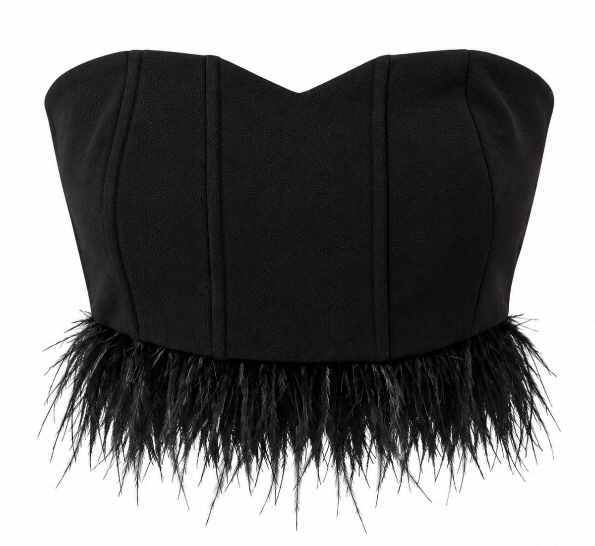 Top Corsé Negro con Plumas