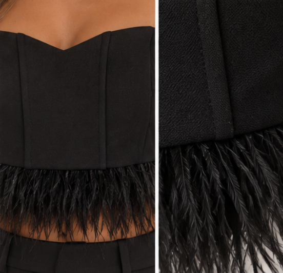 Top Corsé Negro con Plumas